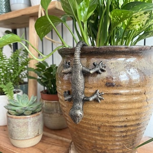 May include: A bronze-colored metal lizard climbing a large, textured, brown ceramic pot. The pot is filled with green leafy plants. Other potted plants are visible on a wooden shelf in the background.