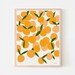 Clementines Fruit Art Print. Signed. Available Framed or Unframed. 111222.