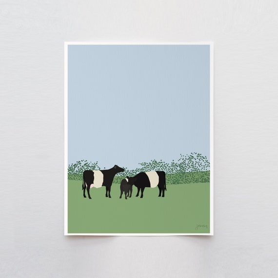 Galloway Oreo Cow Art Print - Signed and Printed by Jorey Hurley - Unframed or Framed - 120913