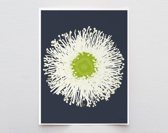 Blue Gum Eucalyptus Flower Art Print - Signed and Printed by Jorey Hurley - Unframed or Framed - 140430