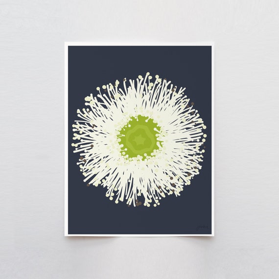Eucalyptus Flower Art Print - Signed and Printed by Jorey Hurley - Unframed or Framed - 140430