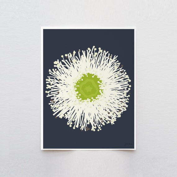 Blue Gum Eucalyptus Flower Art Print - Signed and Printed by Jorey Hurley - Unframed or Framed - 140430