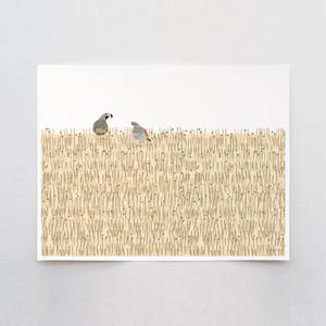 California Quail Art Print - Signed by Jorey Hurley - Bird Landscape Drawing - 250115