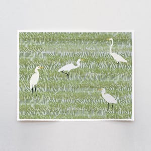 Four Egrets Art Print - Signed by Jorey Hurley - 220402
