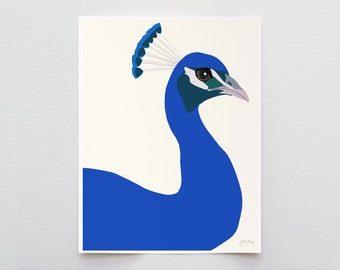 Blue Peacock Art Print - Signed and Printed by Jorey Hurley - Unframed or Framed - 120312