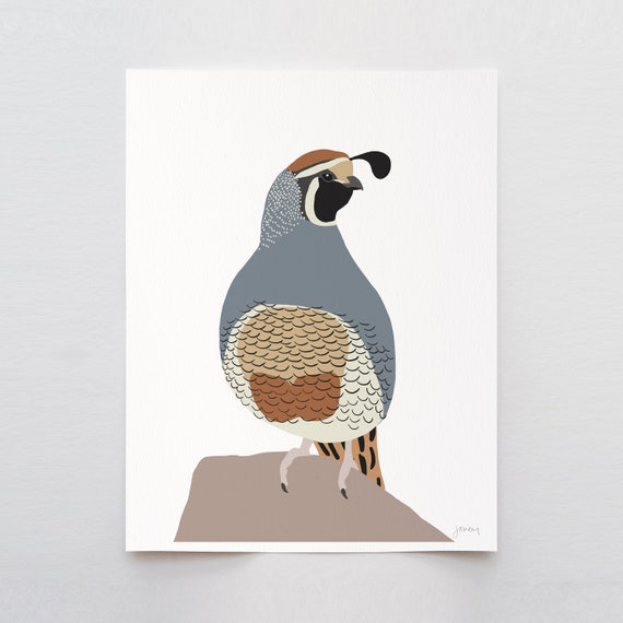 Quail Art Print - Signed and Printed by Jorey Hurley - Unframed or Framed - 230208