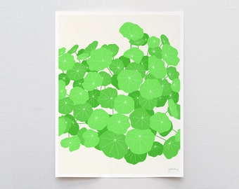 Nasturtium Leaves Art Print - Signed and Printed by Jorey Hurley - Unframed or Framed - 120131