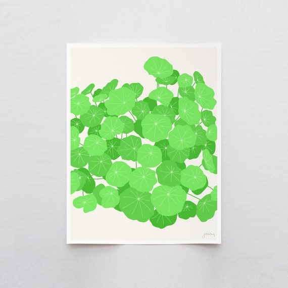 Nasturtium Leaves Art Print - Signed and Printed by Jorey Hurley - Unframed or Framed - 120131