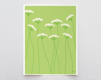 Queen Anne's Lace Art Print - Signed and Printed by Jorey Hurley - Unframed or Framed - 110801