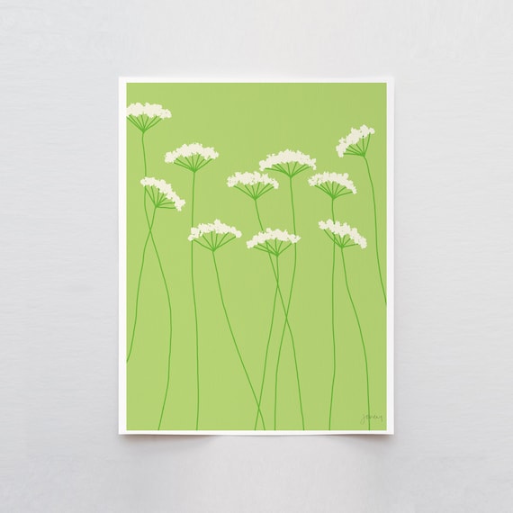 Queen Anne's Lace Art Print - Signed and Printed by Jorey Hurley - Unframed or Framed - 110801