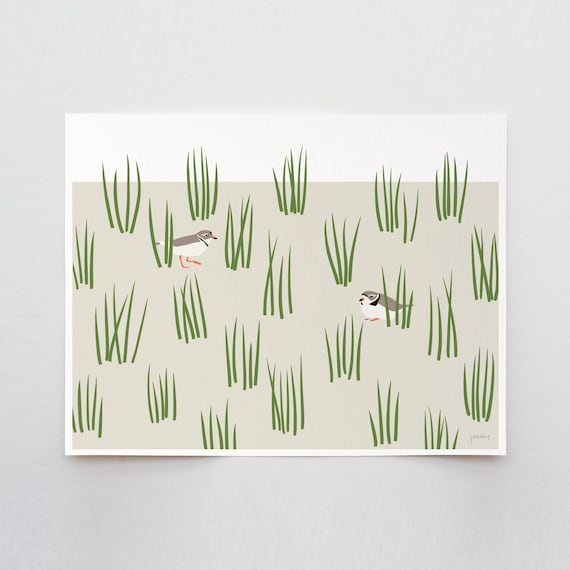 Plovers in Grass Dunes Art Print - Signed and Printed by Jorey Hurley - Unframed or Framed - 250124