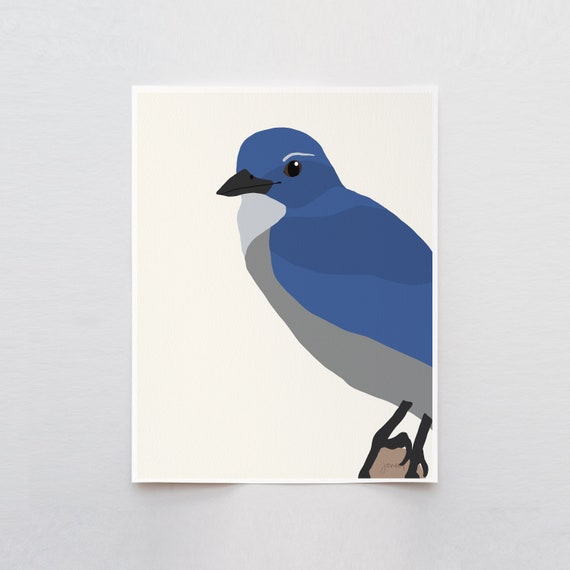 North American Blue Jay Art Print - Signed and Printed by Jorey Hurley - Unframed or Framed - 140910