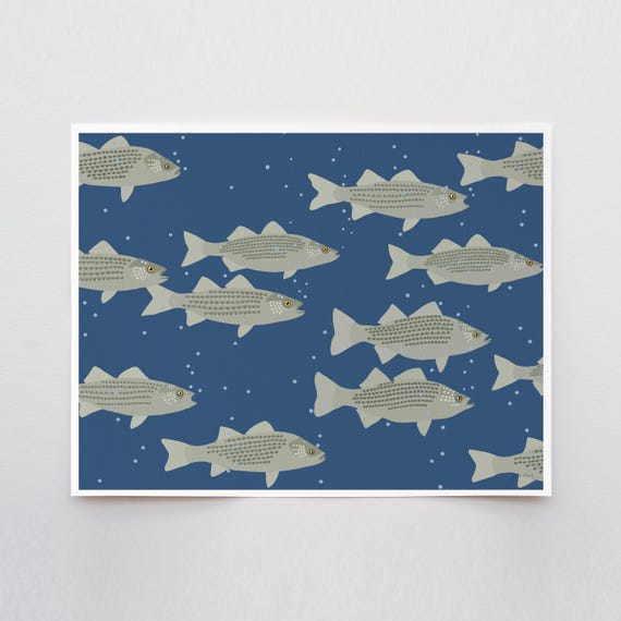Deepwater Stripers Art Print - Signed and Printed by Jorey Hurley - Unframed or Framed - 250129