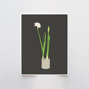 Single Narcissus Still Life Art Print - Signed by Jorey Hurley - 121213