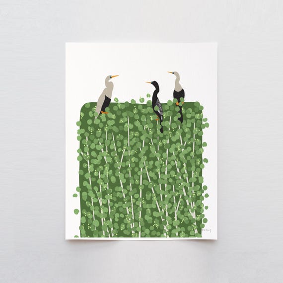Anhingas Art Print - Signed and Printed by Jorey Hurley - Unframed or Framed - 250522