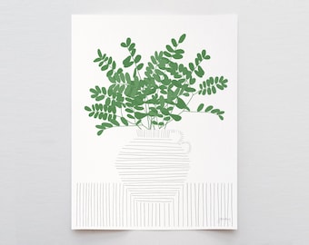 Acacia Leaves, botanical wall art, signed print by Jorey Hurley