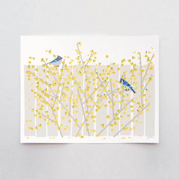 Blue Jays in Yellow Forsythia Art Print – Signed by Jorey Hurley - 260426