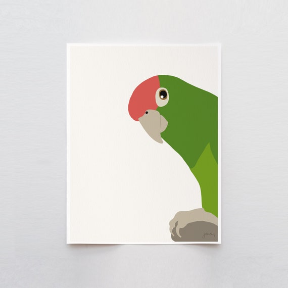 Red-headed Parrot Art Print - Signed and Printed by Jorey Hurley - Unframed or Framed - 140903