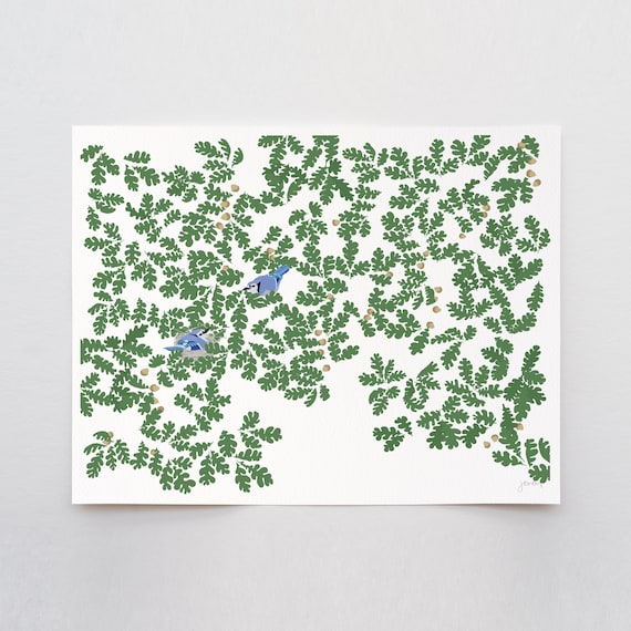 Blue Jays in Oak Leaves Art Print - Signed and Printed by Jorey Hurley - Unframed or Framed - 240811