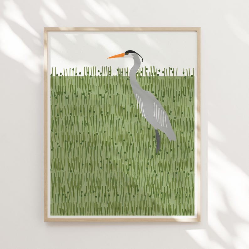 May include: A grey heron with an orange beak stands in a field of green grass. The heron is facing to the right and its head is tilted slightly down. The grass is a light green colour and has a textured appearance.
