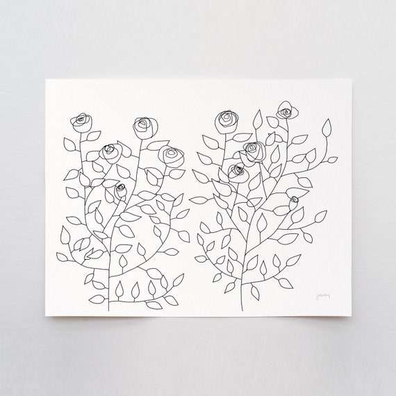 Roses Line Art Print - Signed and Printed by Jorey Hurley - Unframed or Framed - 151118