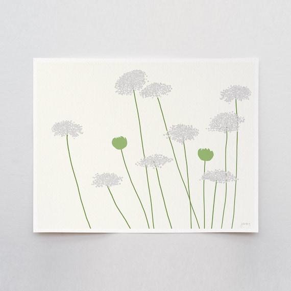 Queen Anne's Lace Art Print - Signed and Printed by Artist - Framed or Unframed - Floral Wall Art - 150819