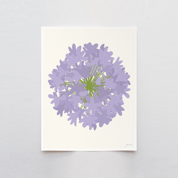 Agapanthus Tuft Art Print - Signed and Printed by Jorey Hurley - Unframed or Framed - 150722