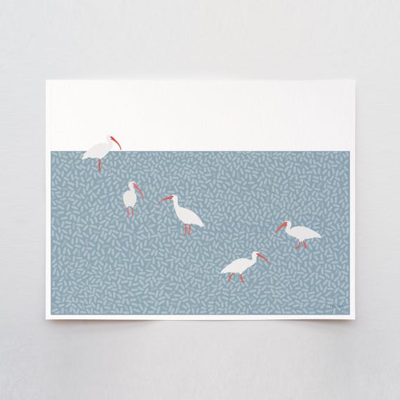 American White Ibis Art Print - Signed and Printed by Jorey Hurley - Unframed or Framed - 241215