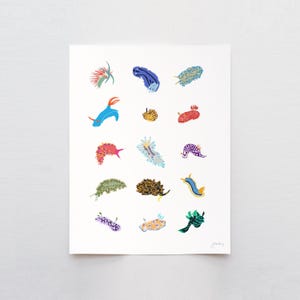 Nudibranch Sea Slugs Art Print – Signed by Jorey Hurley  - 240302