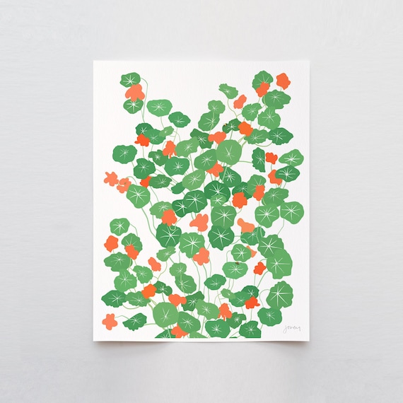 Nasturtium Plant Art Print - Signed and Printed by Jorey Hurley - Unframed or Framed - Botanical Home Decor - 241013