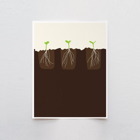 Transplant Seedlings Art Print - Signed and Printed by Jorey Hurley - Unframed or Framed - 120531