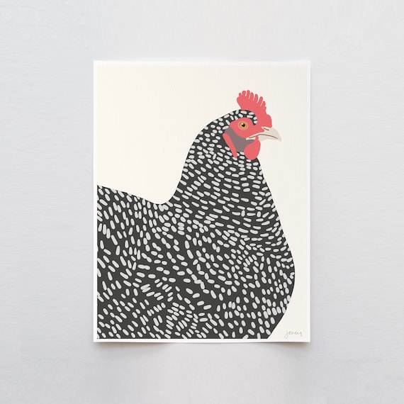 Plymouth Rock Chicken Art Print - Signed and Printed by Jorey Hurley - Unframed or Framed - 130109A