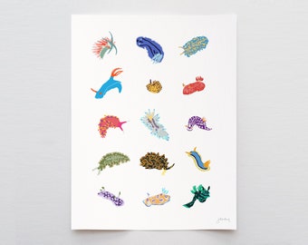 Nudibranch Sea Slugs Art Print - Signed and Printed by Jorey Hurley - Unframed or Framed - 240302