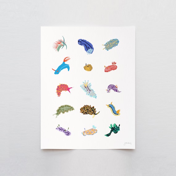 Nudibranch Sea Slugs Art Print - Signed and Printed by Jorey Hurley - Unframed or Framed - 240302