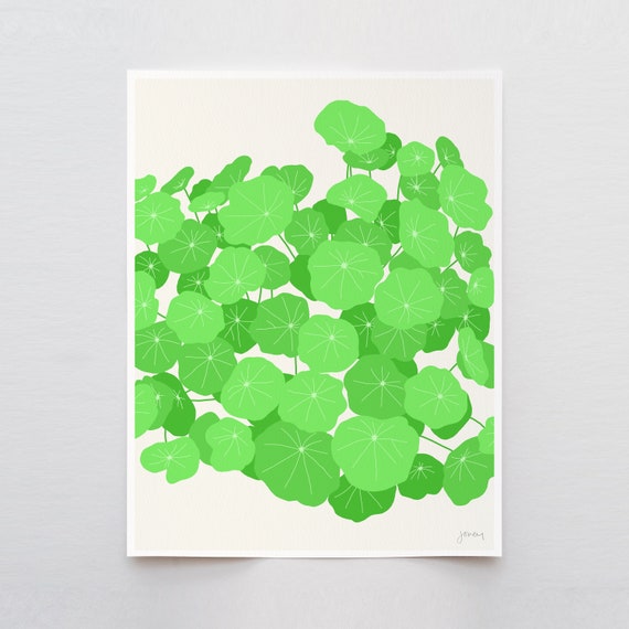 Nasturtium Leaves Art Print - Signed and Printed by the Artist - Framed or Unframed - 120131