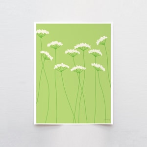 Queen Anne's Lace Art Print - Signed by Jorey Hurley - 110801