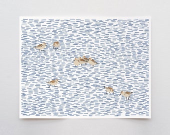 Shorebirds Art Print - Signed and Printed by Jorey Hurley - Unframed or Framed - 220322