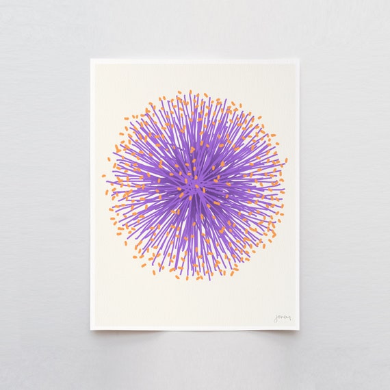 Mimosa Flower Art Print - Signed and Printed by Jorey Hurley - Unframed or Framed - 110705