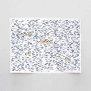 Beach Sandpipers, bird wall art, signed print by Jorey Hurley