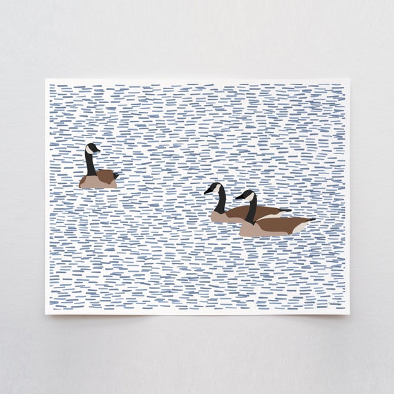 Canada Geese Swimming Art Print - Signed and Printed by Jorey Hurley - Unframed or Framed - 230924
