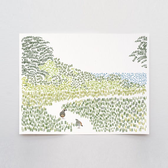 Quail on California Coast Art Print - Signed and Printed by Jorey Hurley - Unframed or Framed - 240801