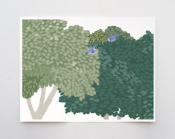 Nesting Blue Jays Art Print – Signed Nature Illustration by Jorey Hurley - 250108