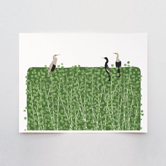 Anhinga Birds Art Print - Signed and Printed by Jorey Hurley - Unframed or Framed - 250323