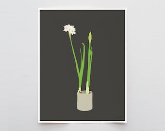 Paperwhite Narcissus Art Print - Signed and Printed by Jorey Hurley - Unframed or Framed - 121213