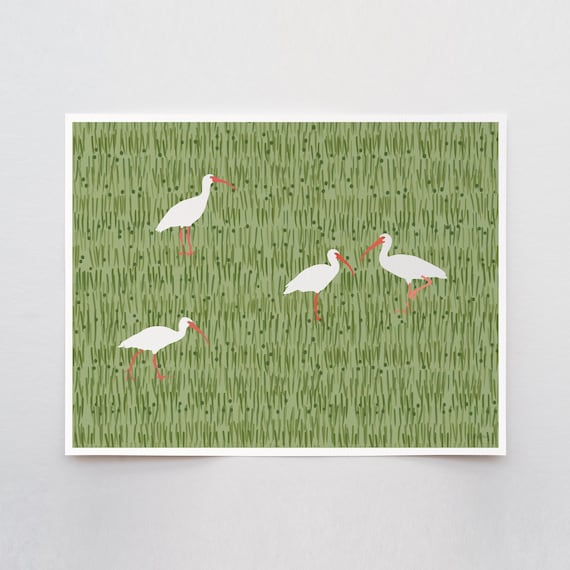 Ibis in Grass Art Print - Signed and Printed by Jorey Hurley - Unframed or Framed - 241215