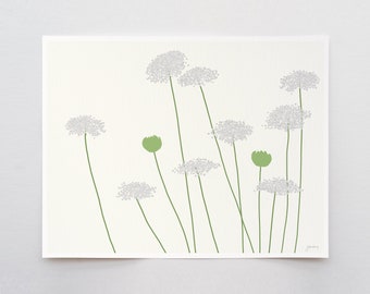 Wild Carrot Queen Anne's Lace Art Print - Signed and Printed by Artist - Framed or Unframed - Floral Wall Art - 150819