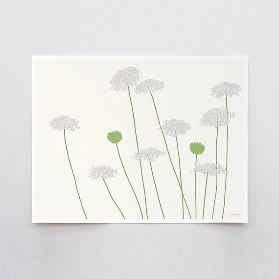 Wild Carrot Queen Anne's Lace Art Print - Signed and Printed by Artist - Framed or Unframed - Floral Wall Art - 150819