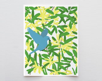 Mountain Bluebird in Acacia Art Print - Signed and Printed by Jorey Hurley - Unframed or Framed - 130227