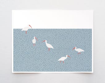 Ibis, bird wall art, signed print by Jorey Hurley