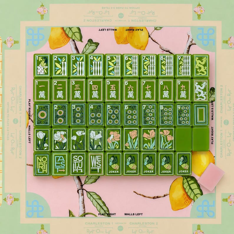 Hand Painted American Mahjong Set, 3-Layer Acrylic Tiles, Luxury Board Game, Gift for Family Night image 4